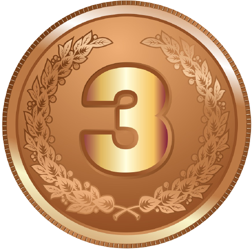 bronze medal